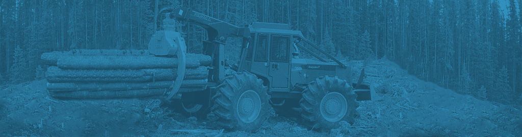 Forestry Pulp and Paper