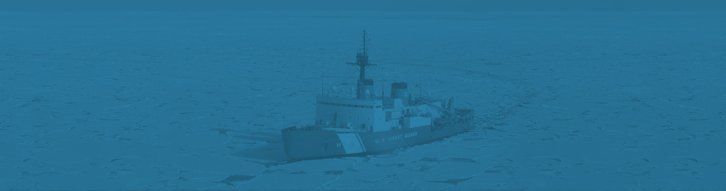 Propeller Shaft Bearing Systems