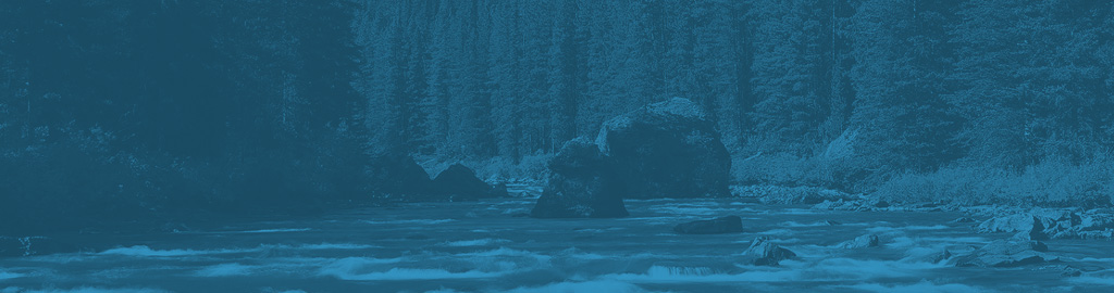 BlueBanner-WaterTrees