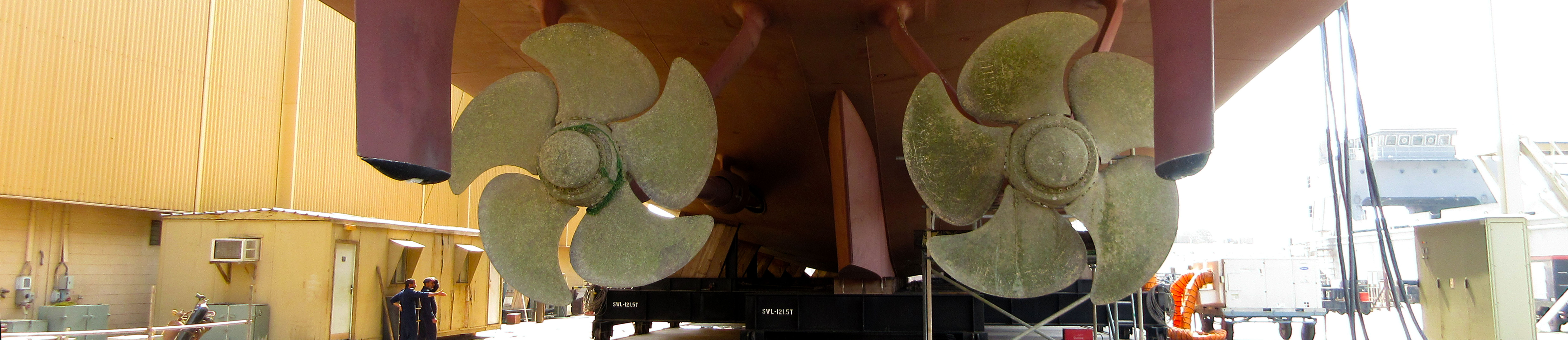 propeller shaft bearing system