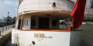 Blue Bird of 1938 fitted with COMPAC bearings