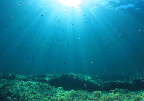 Clean Ocean
