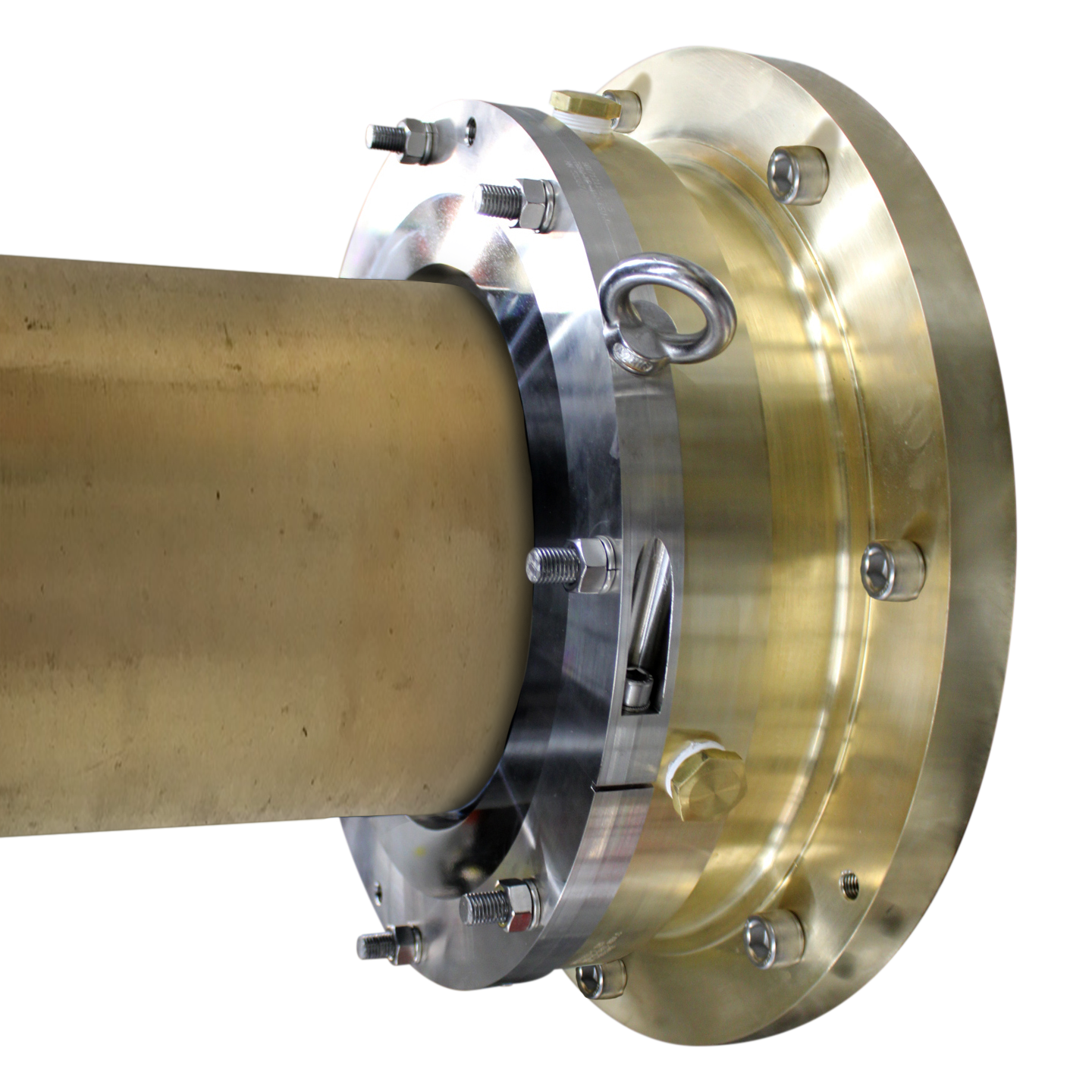 BlueWater Seal IMG_6689